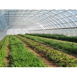 GreenHouse